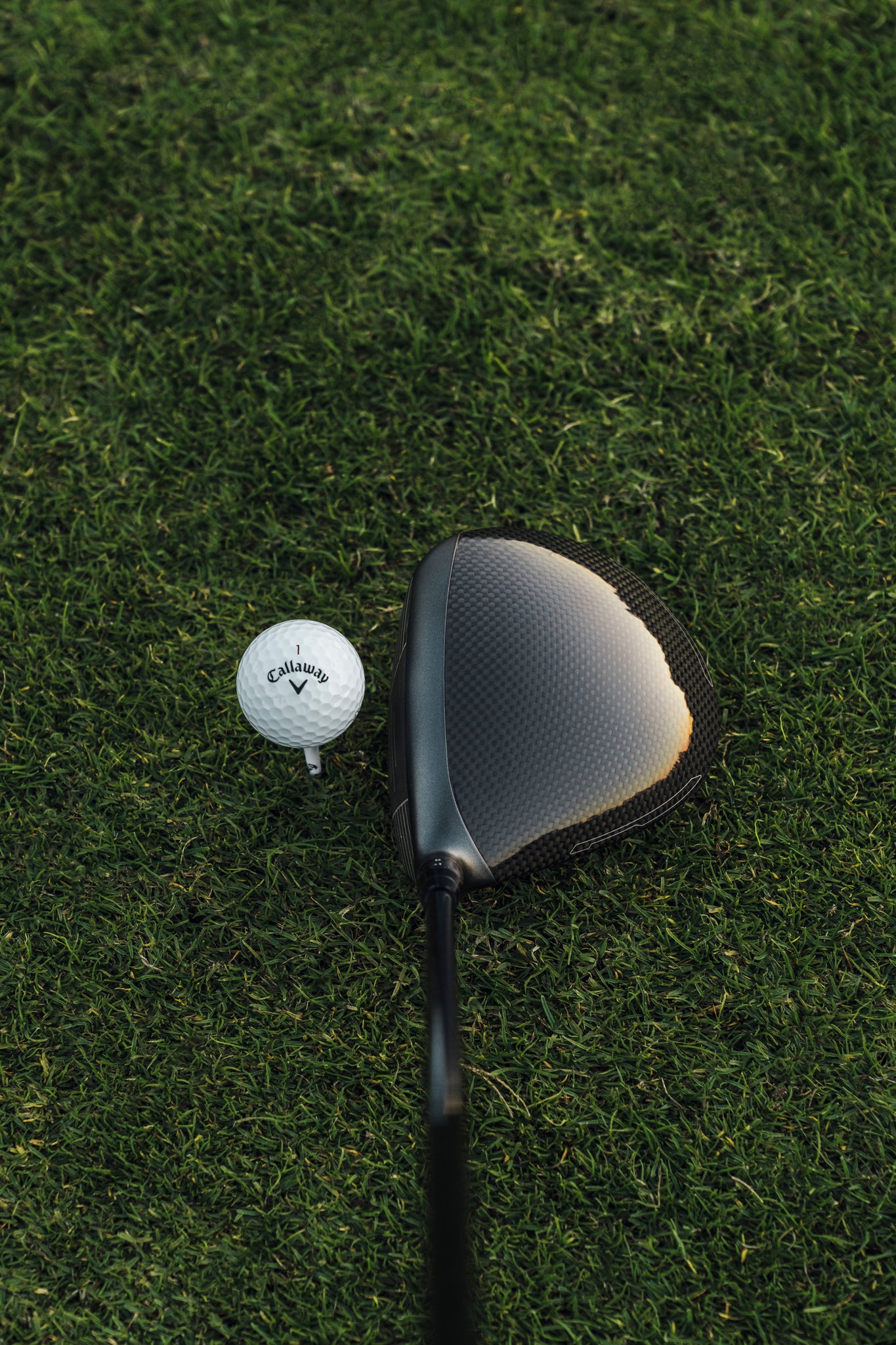 Quantum TD Max Driver