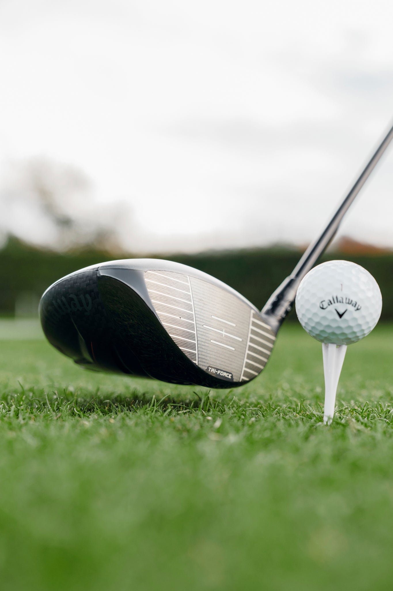 Quantum TD Max Driver