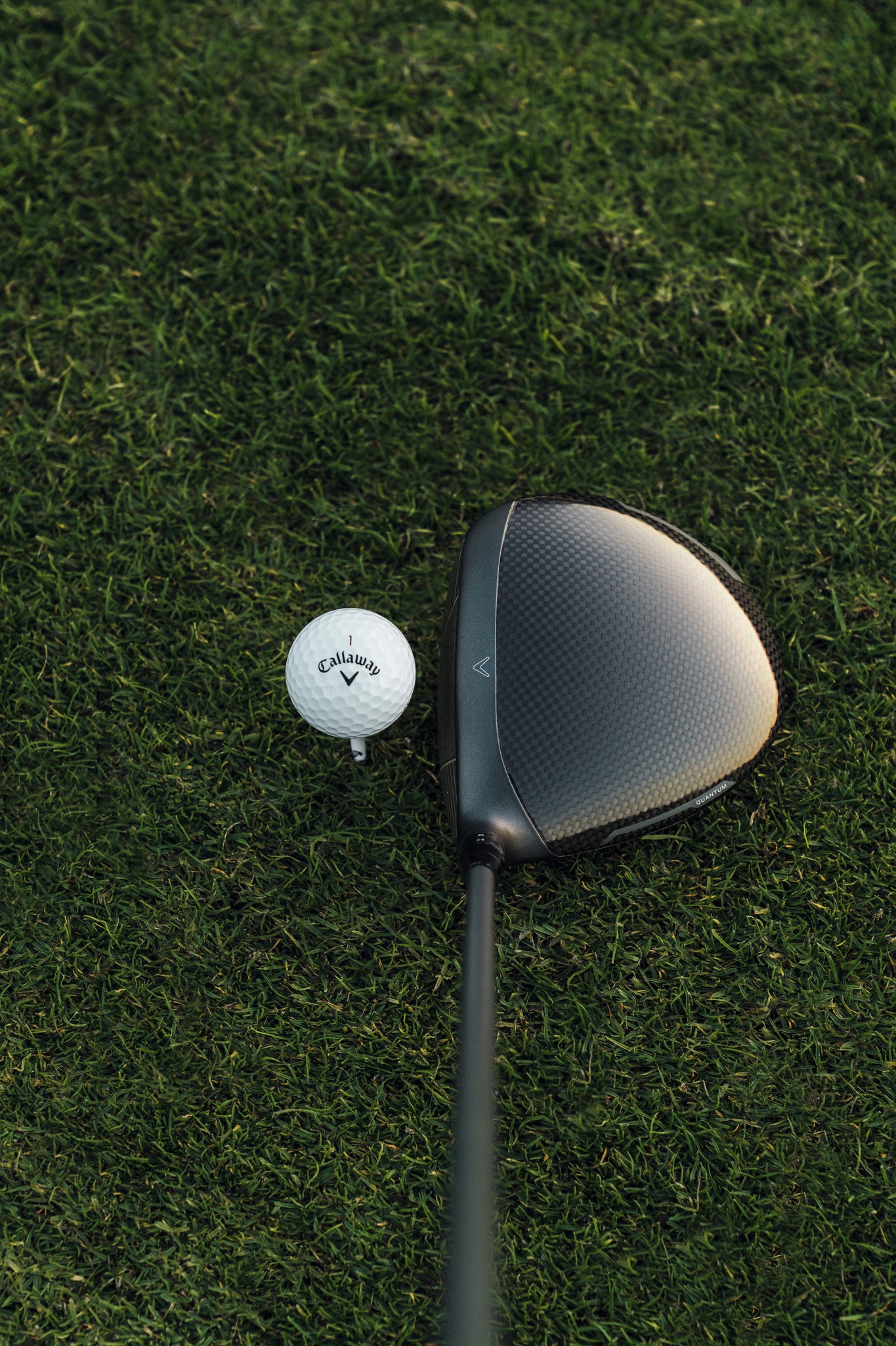 Quantum Max D Driver