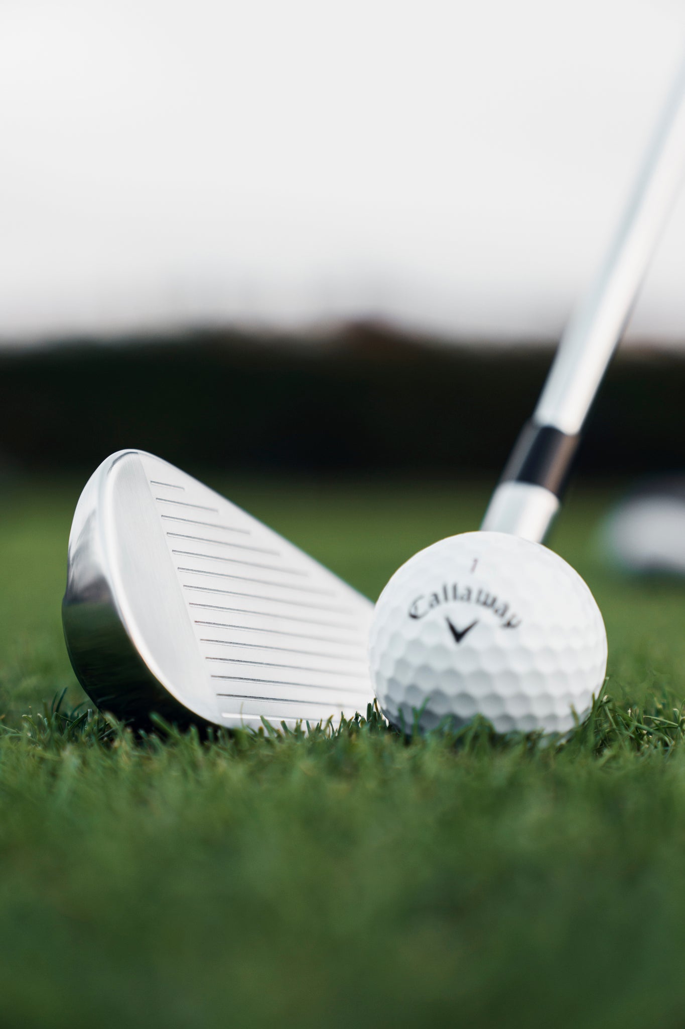 Quantum Max OS St. 7-irons